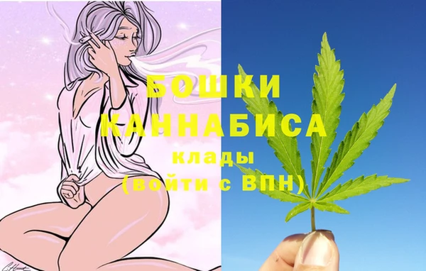 индика Бронницы